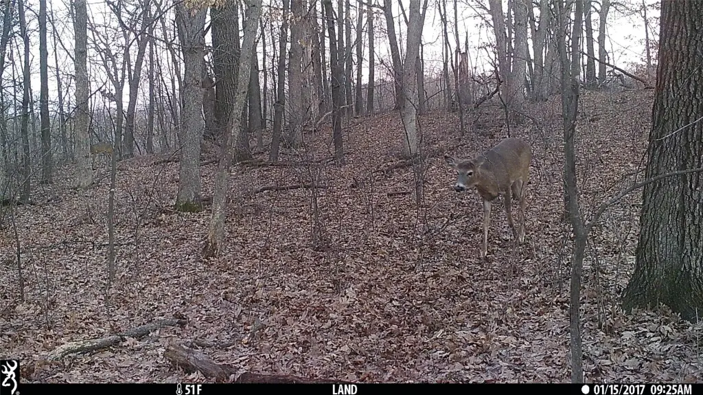 Picture 12