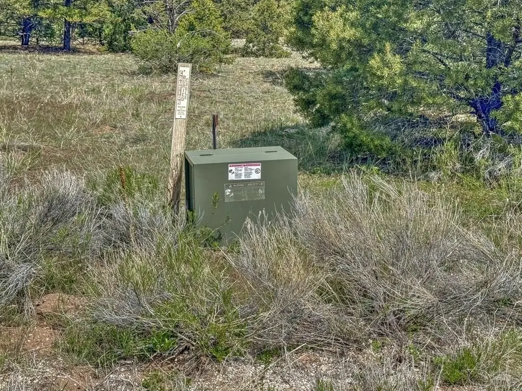 Picture 3