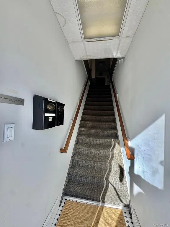 Picture 19