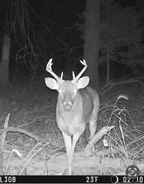 23.4 Acres Near Neosho River