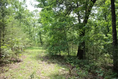 Secluded Acreage Near Bull Shoals
