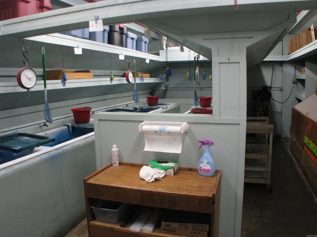 Picture 9