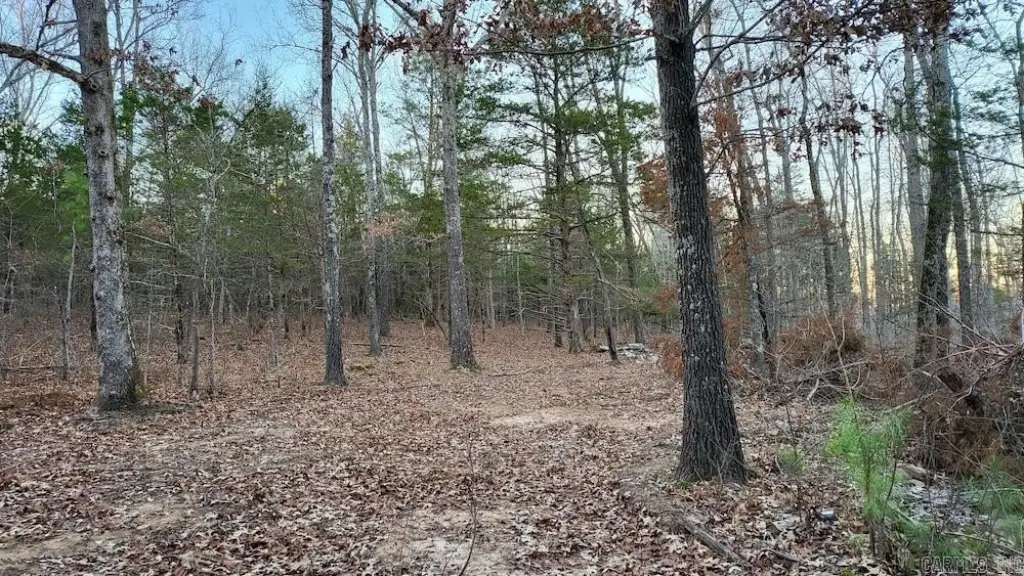 Picture 41