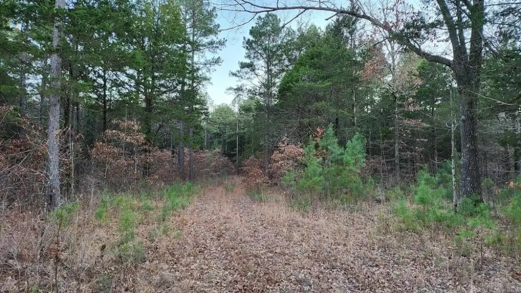 Picture 42
