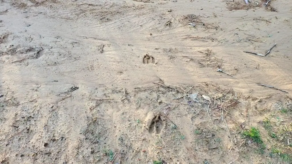Picture 12