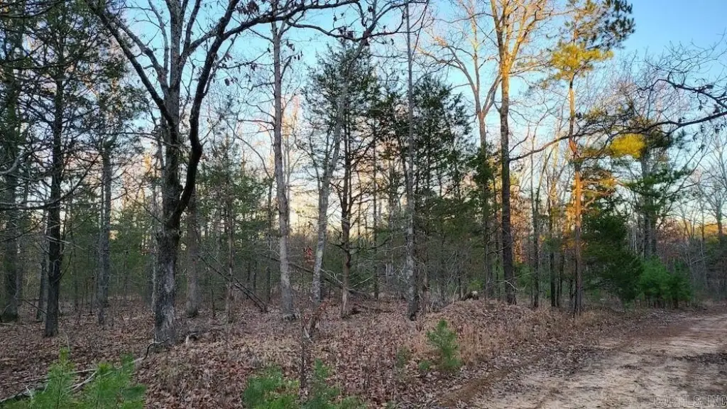 Picture 38