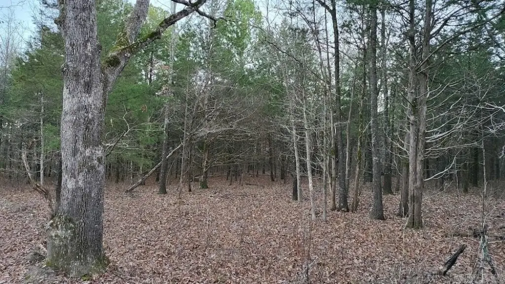 Picture 44