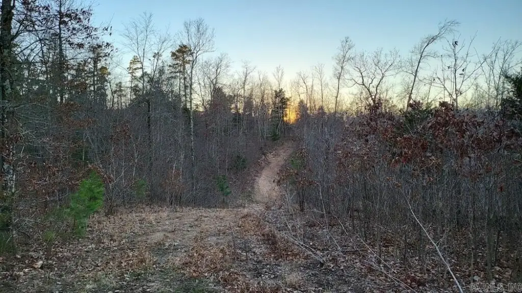 Picture 36
