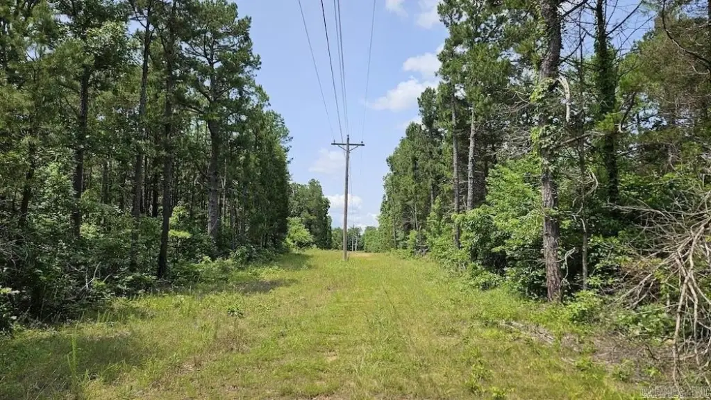 Picture 9