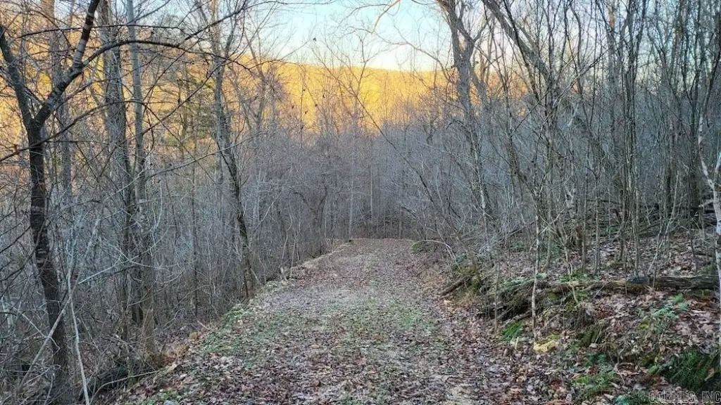 Picture 19