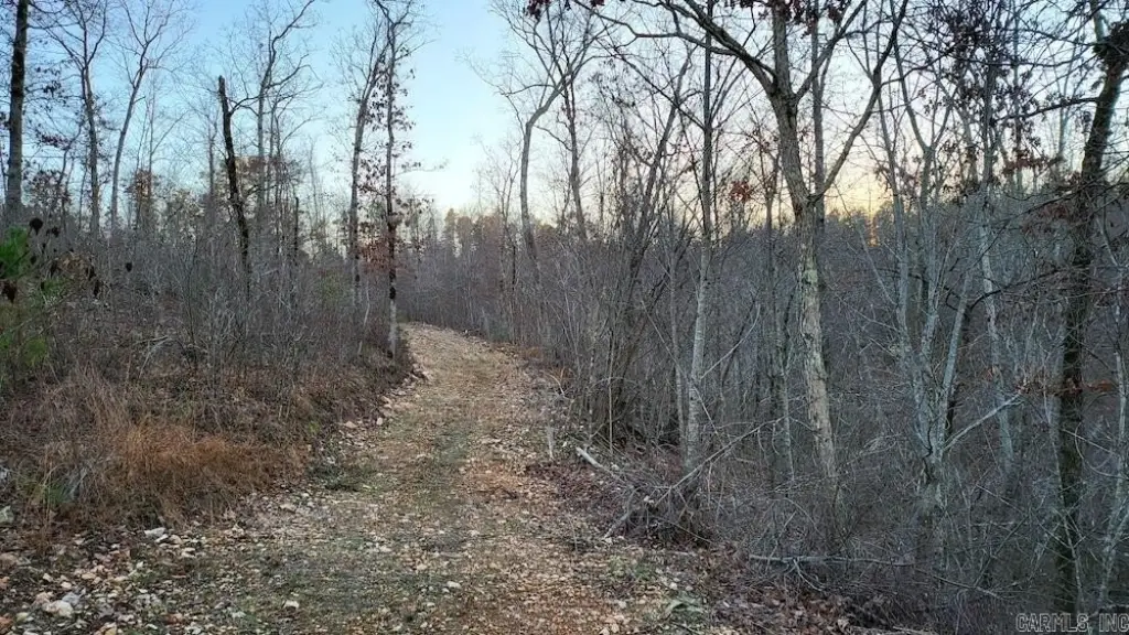 Picture 35