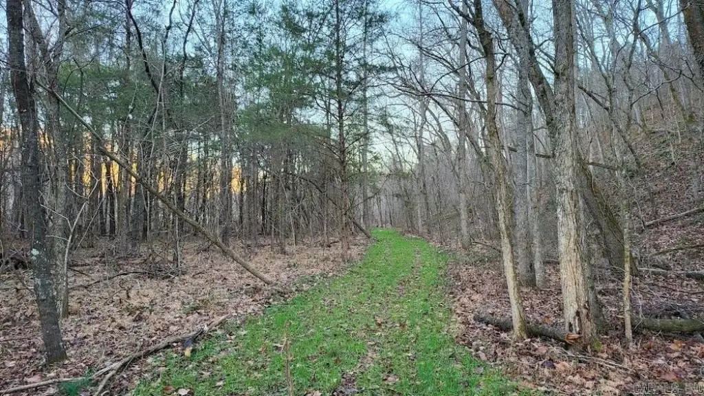 Picture 29