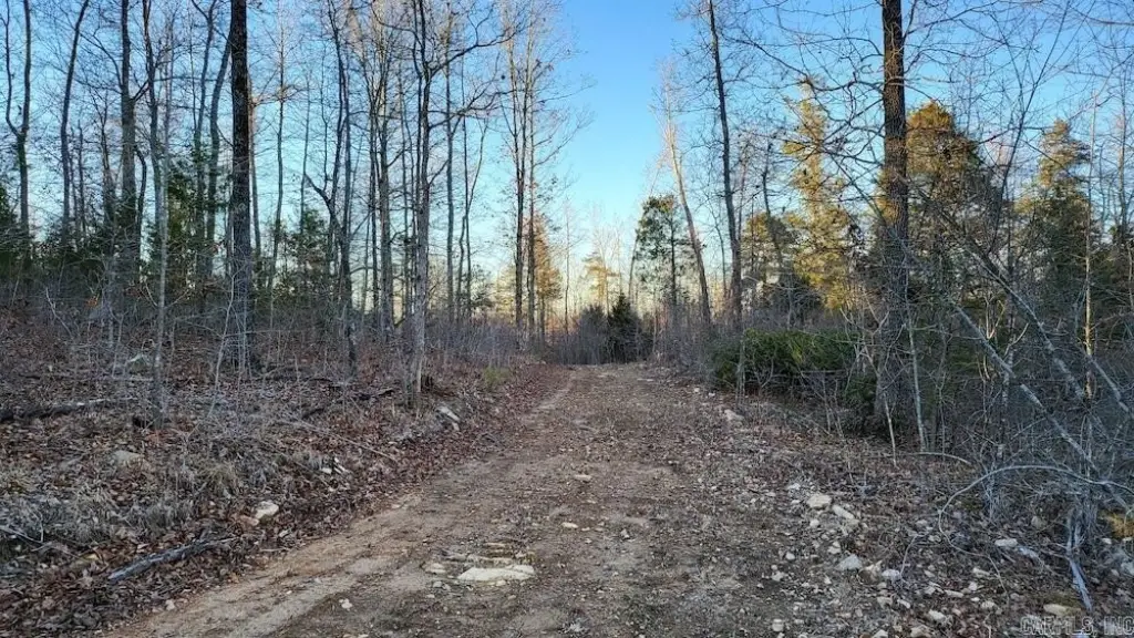 Picture 17