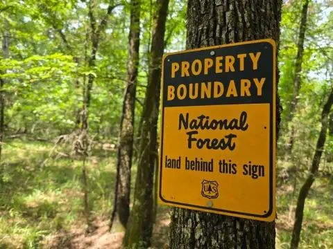 Land Adjoining Ouachita National Forest