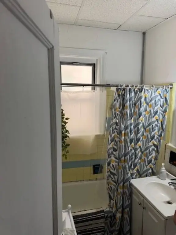 Picture 23