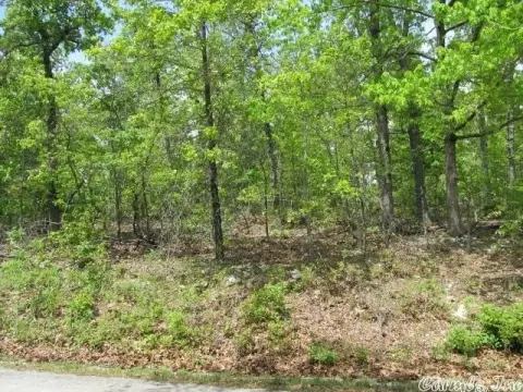 Residential Lot in Ash Flat