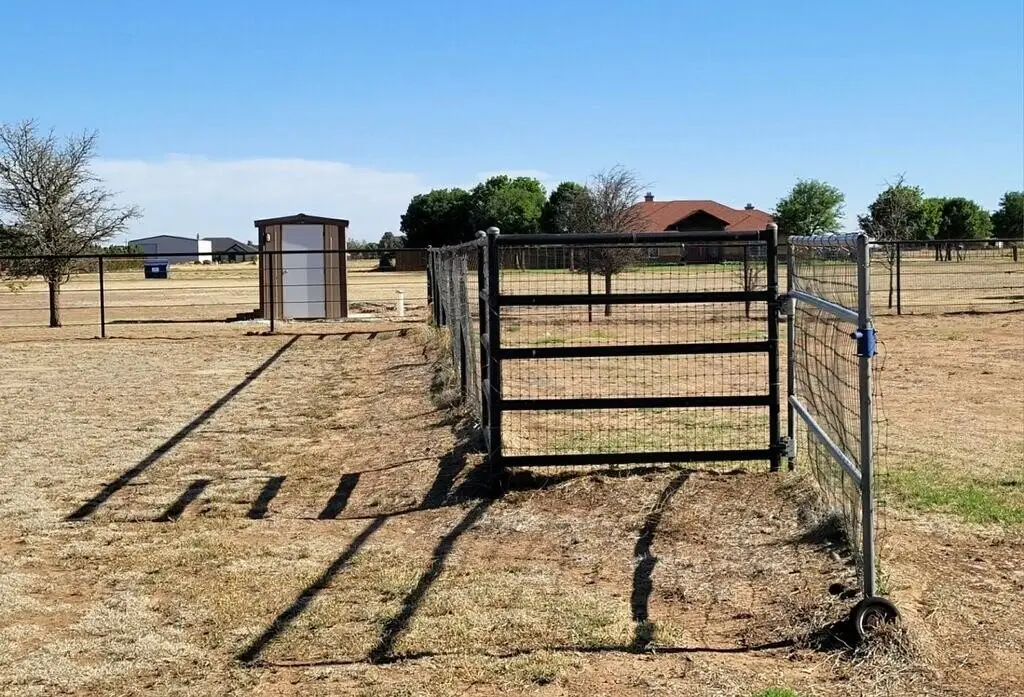 Picture 8