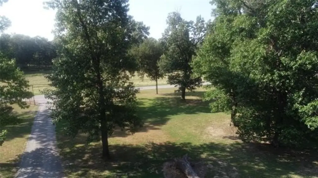 Picture 23