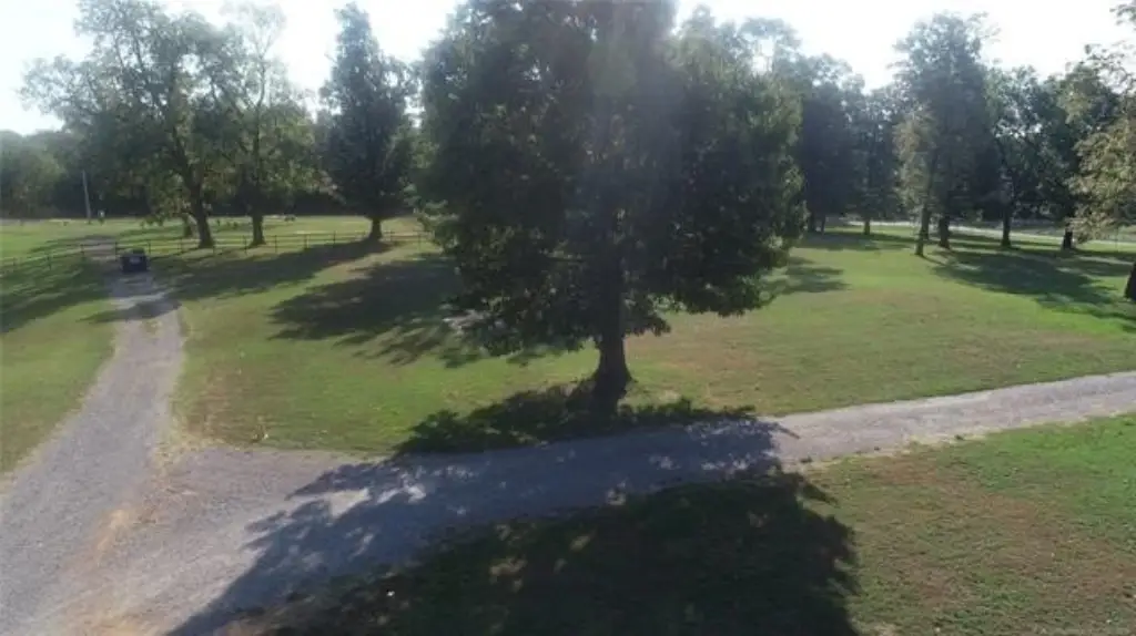 Picture 19