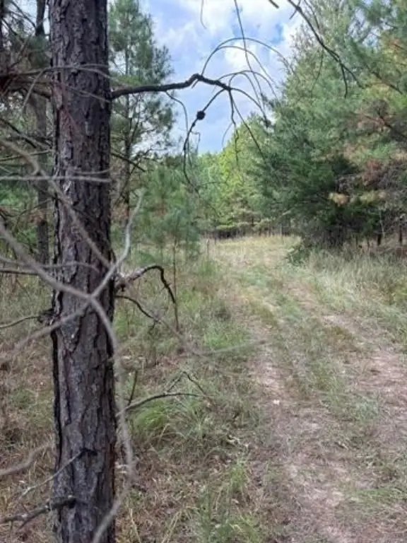 Picture 9