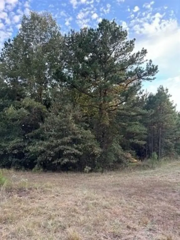 Picture 19