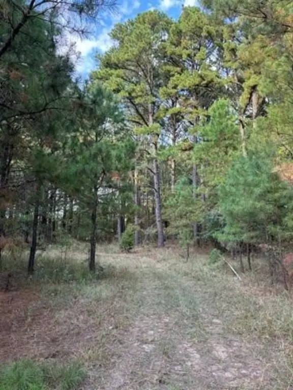 Picture 11