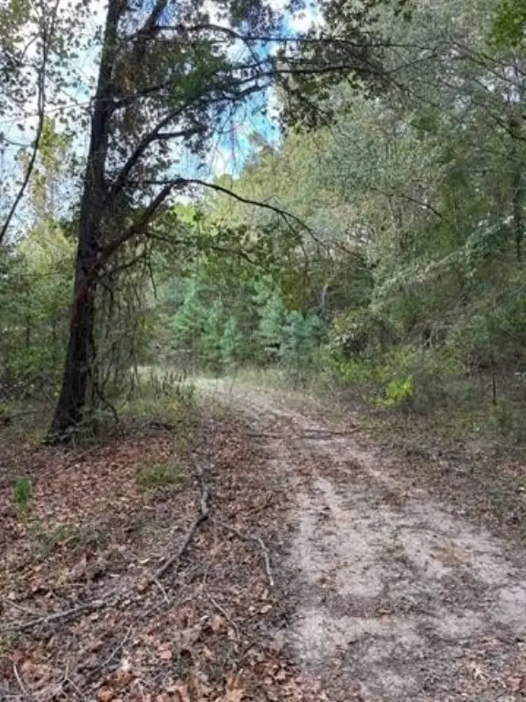 Picture 7