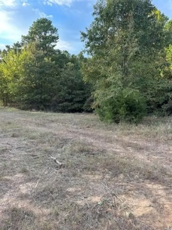 Picture 15