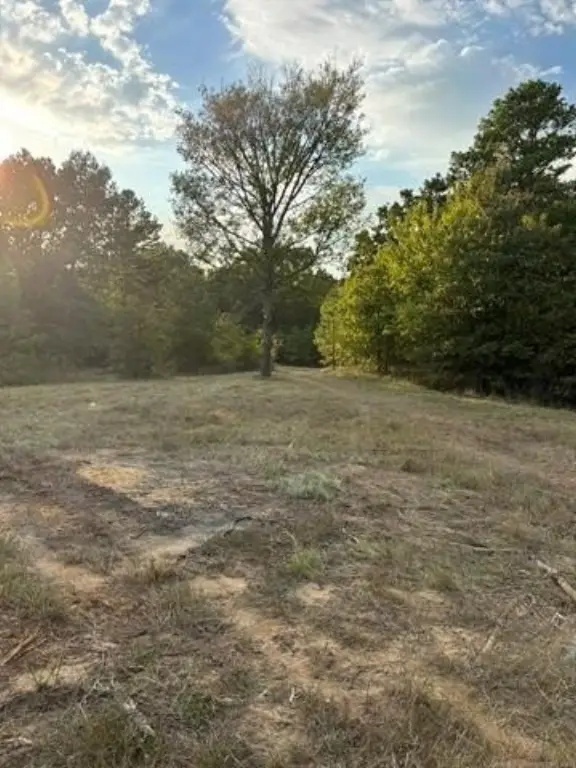 Picture 14
