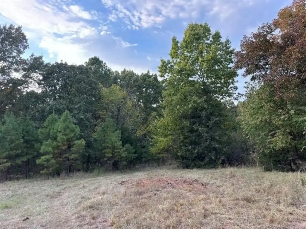 Picture 18