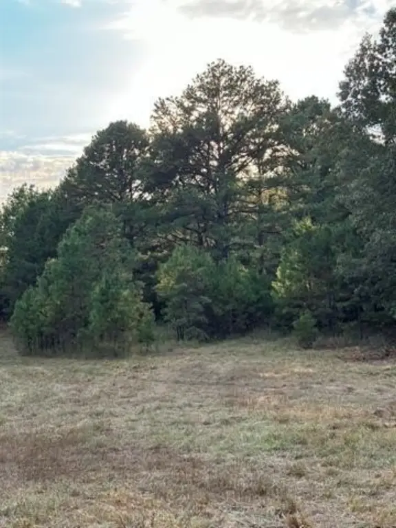 Picture 17