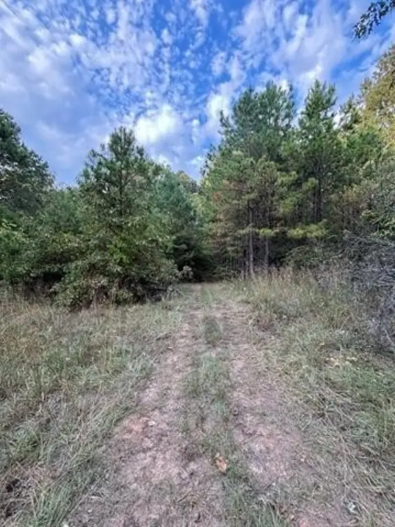 Picture 20