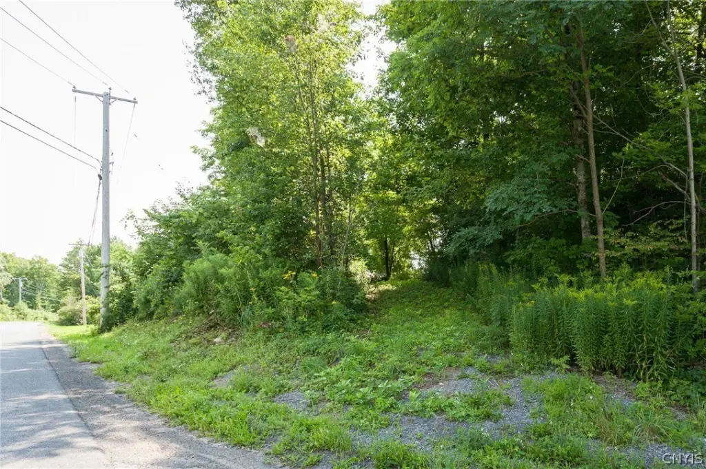 Depot St, Natural Bridge, NY 13665