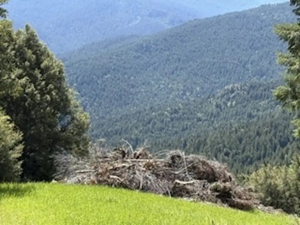 Picture 10