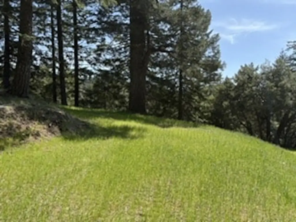 Picture 7