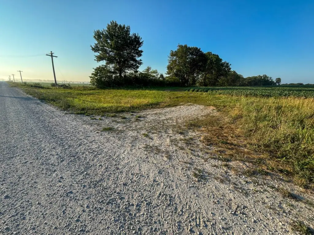 Picture 60
