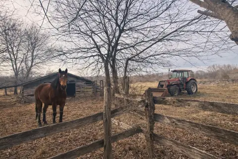 31 Acres Farmland with Barn