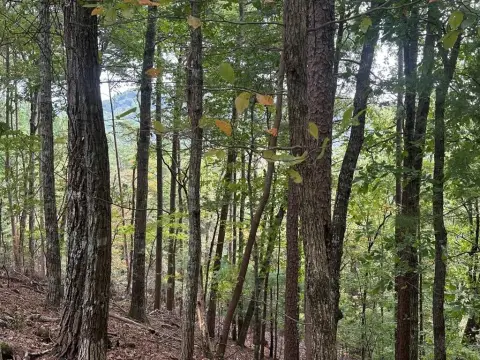 Ellijay, GA Vacant Lot