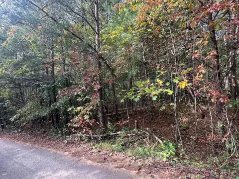 Residential Lot in Blue Ridge