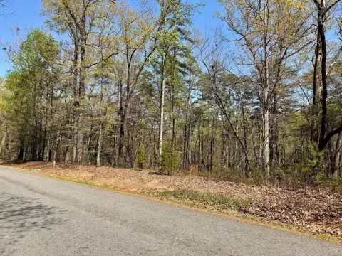 Blue Ridge Wooded Lot