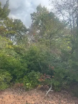 Vacant Lot in Kingwood Estates