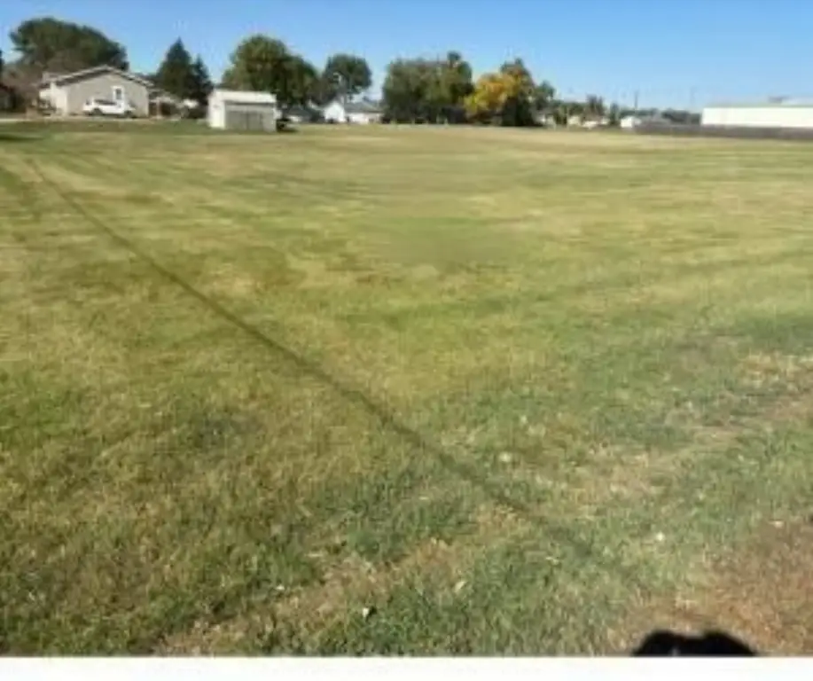 Picture 2