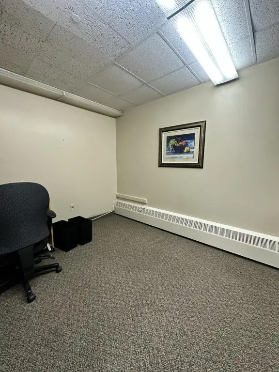 Picture 5