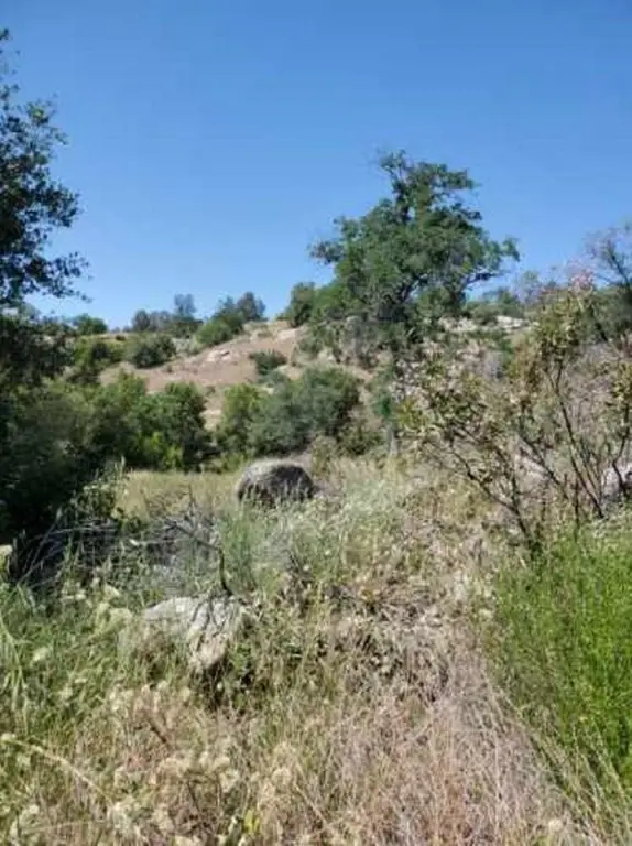 Picture 17