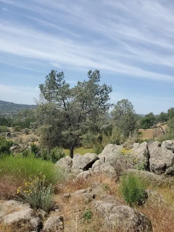 Picture 16