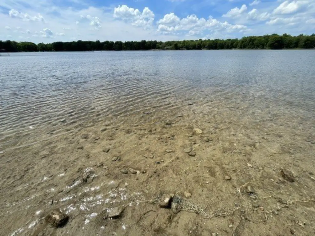 Picture 11