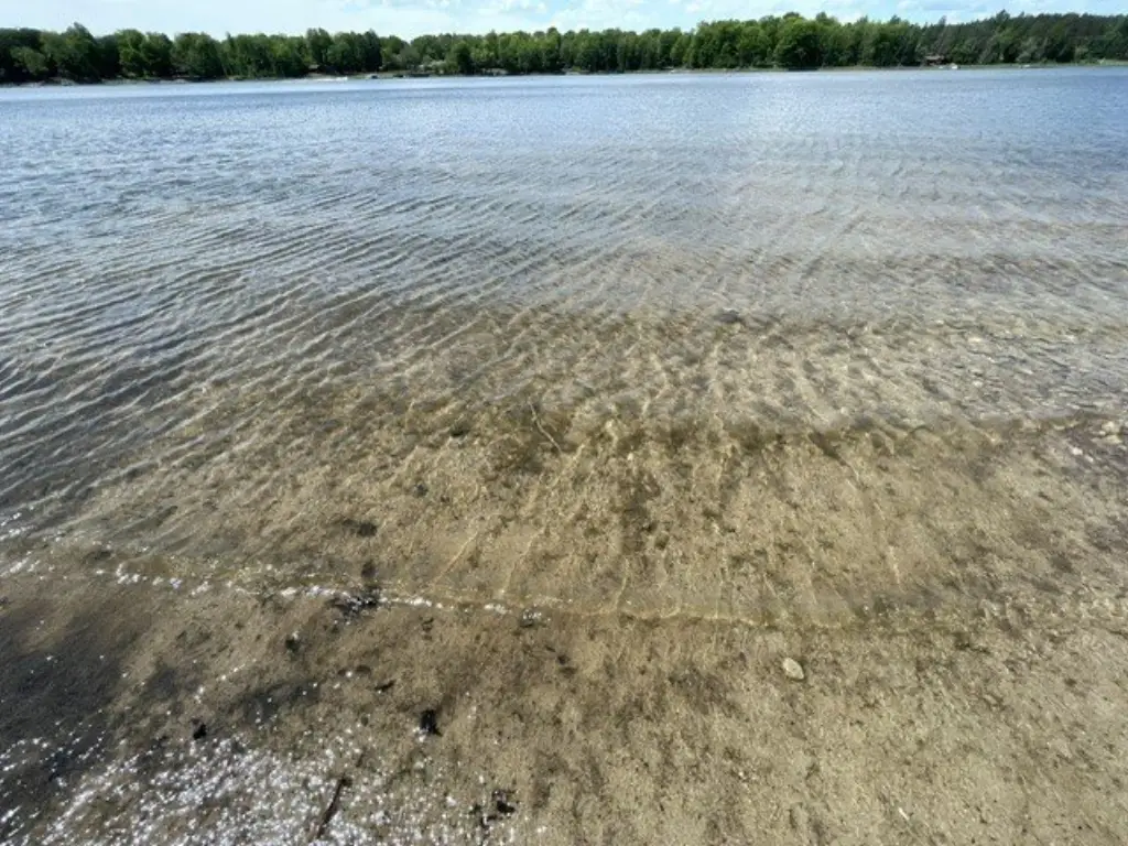 Picture 10