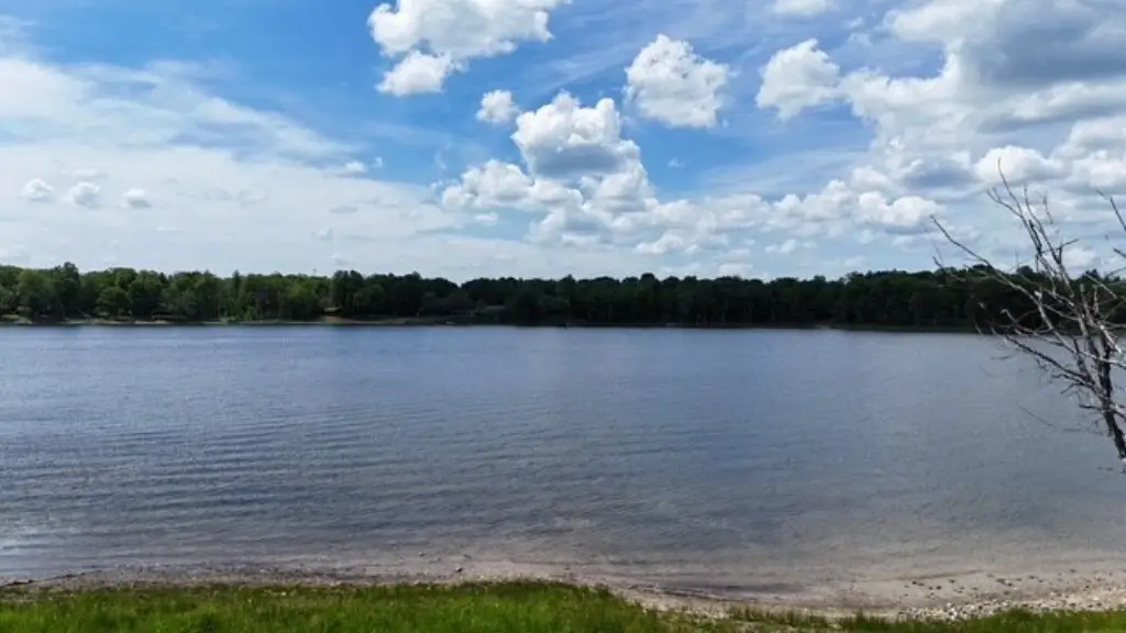 Picture 14