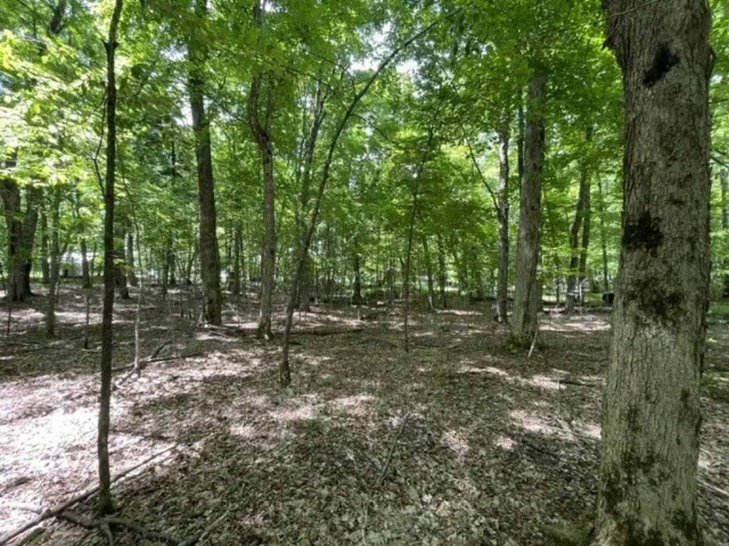 Picture 3