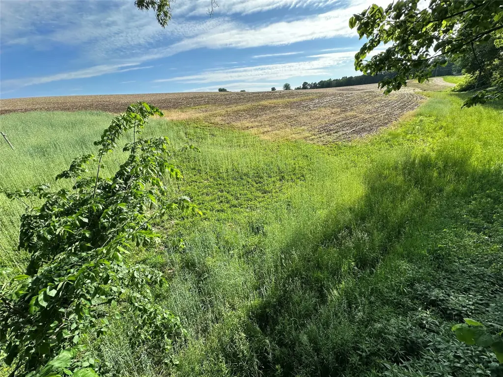 Picture 21